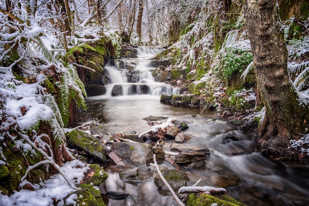 snow river