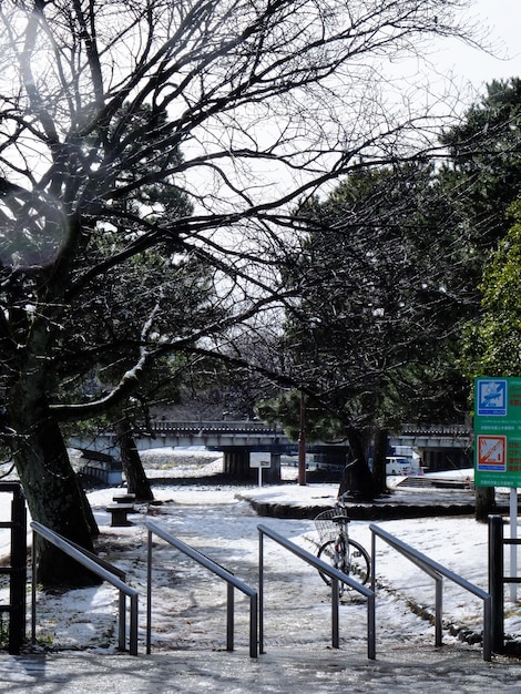 Snow scene at Shimogamo Shrine in Kyoto