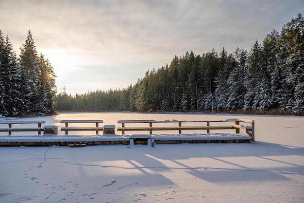 The snow on the snowcovered forested Lake Melnezers in the rays of the evening sun Latvia