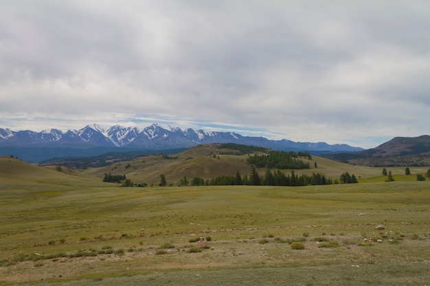 Snow top in Altai mountains. Bottom view.