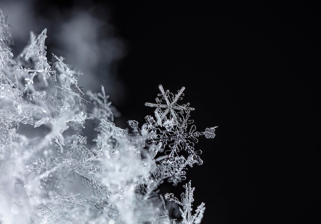 Snow in winter closeup Macro image of snowflakes winter holiday background