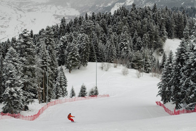 A snowboarder descends a mountain track in the midst of a snowcovered spruce forest at a ski resort