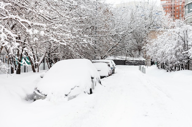 Snowcovered cars along road in winter day