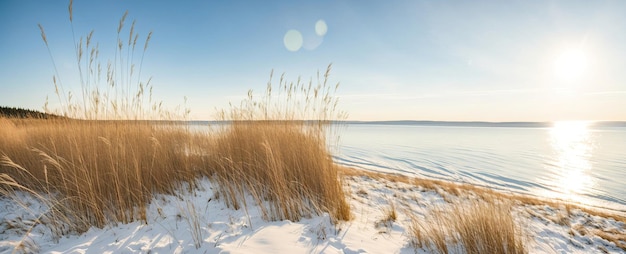 snowcovered shore with yellow grass at sunset Generative AI