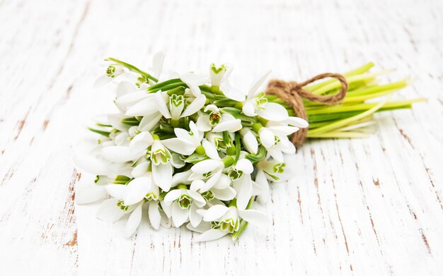 Snowdrops bunch on wooden background