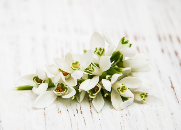 Snowdrops bunch on wooden background