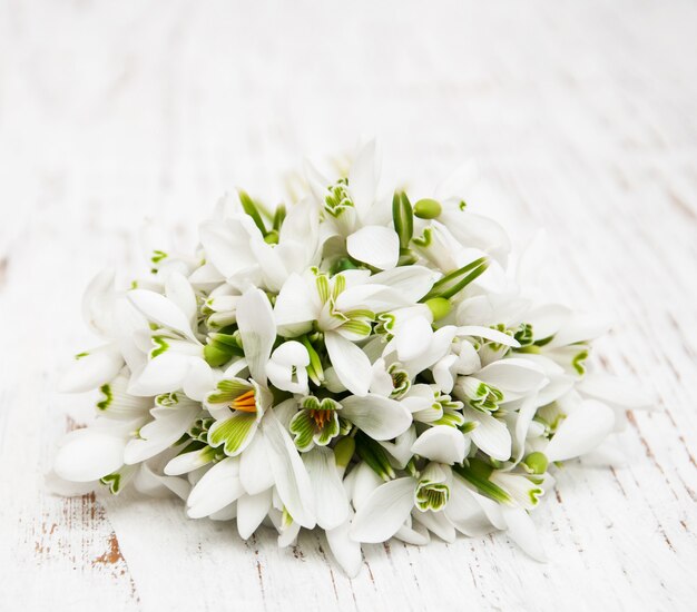 Snowdrops bunch on wooden background