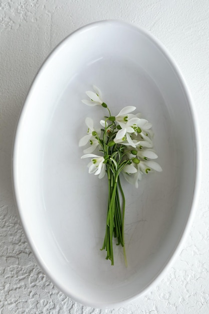 Snowdrops on a white plate