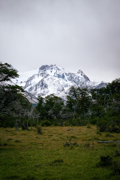 Snowed mountain with green landscape