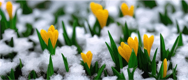 Snowfall flower Spring wild flower Beautiful grass of nature Sketch of snow light flower branch Flowering plant