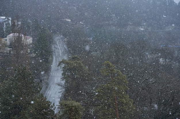 Snowfall in the mountain city. Bad weather in the mountains. Snow flakes on the background of the forest.