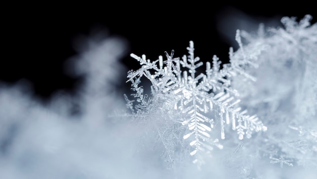 Snowflake On Natural Snowdrift Close Up  Christmas And Winter Background