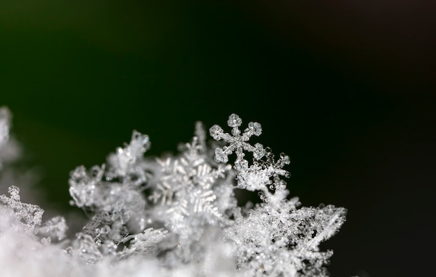 Snowflake On Natural Snowdrift Close Up  Christmas And Winter Background