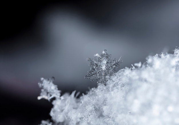 Snowflake on snow Winter holidays and Christmas background