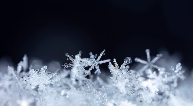 Snowflake on snow. Winter holidays and Christmas background 