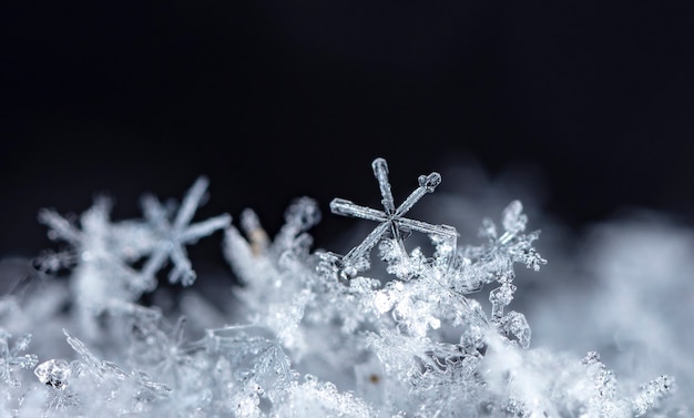 Snowflake on snow. Winter holidays and Christmas background 