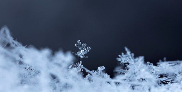 Snowflake on snow. Winter holidays and Christmas background 