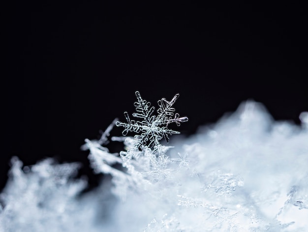 Snowflake on snow. Winter holidays and Christmas background 