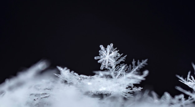 Snowflake on snow. Winter holidays and Christmas background 