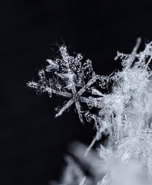 Photo snowflake in the snow winter season