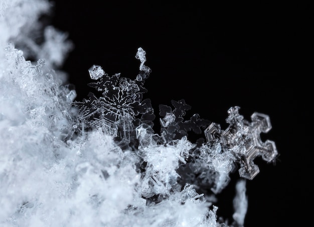 Snowflake in the snow winter season