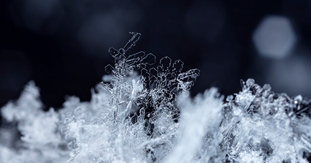 Snowflake in the snow winter season