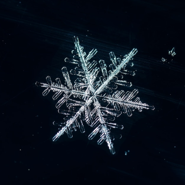 Snowflake during a snowfall