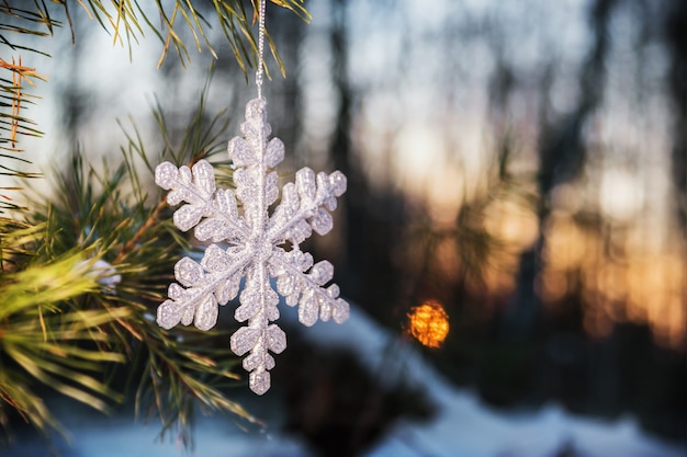 Snowflake snowy forest at sunset