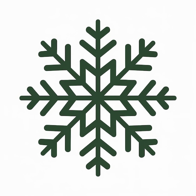 a snowflake that is on a white background