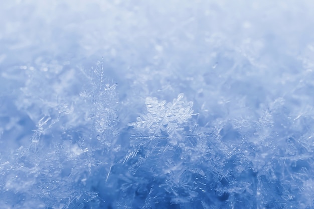 Snowflakes close-up. Macro photo. The concept of winter, cold. Copy space.