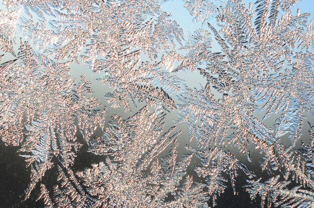 Snowflakes frost rime macro on window glass pane