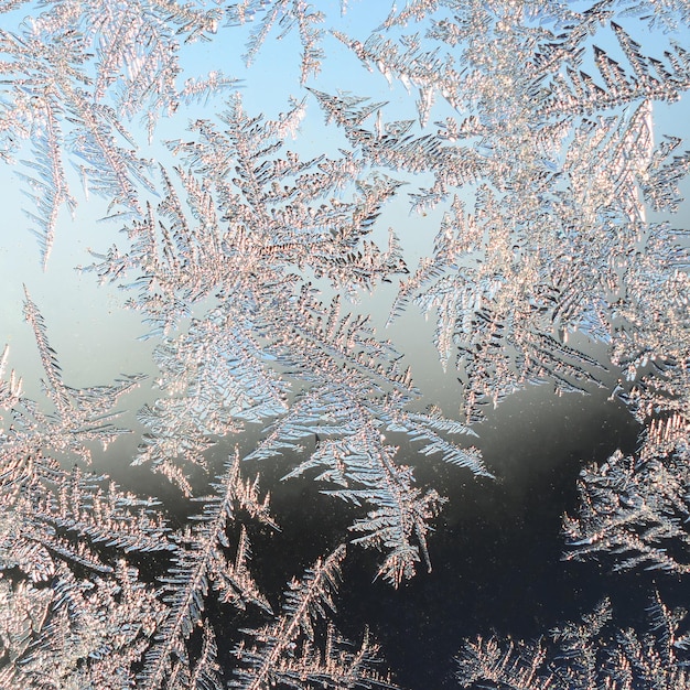 Snowflakes frost rime macro on window glass pane