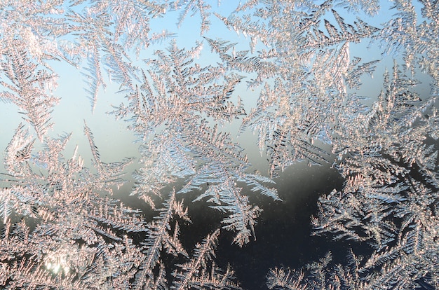 Snowflakes frost rime on window glass