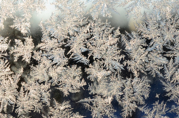 Snowflakes frost on window glass pane