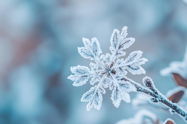 Snowflakes in a Frosty Winter Background with Blur