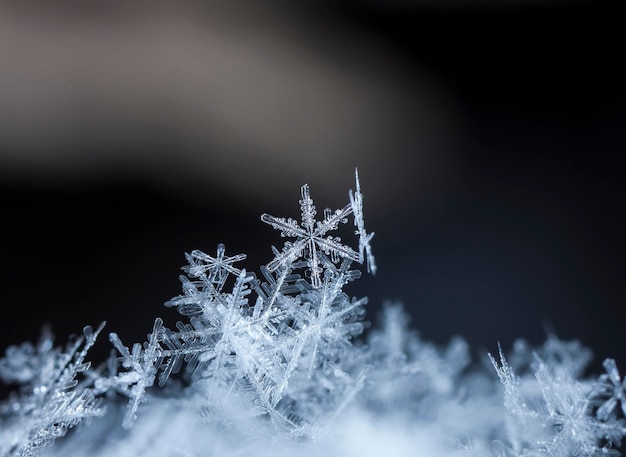 Snowflakes during a snowfall