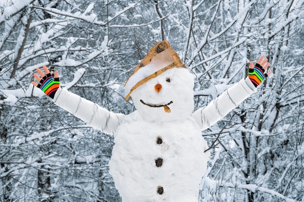 Photo snowman with arms outstretched