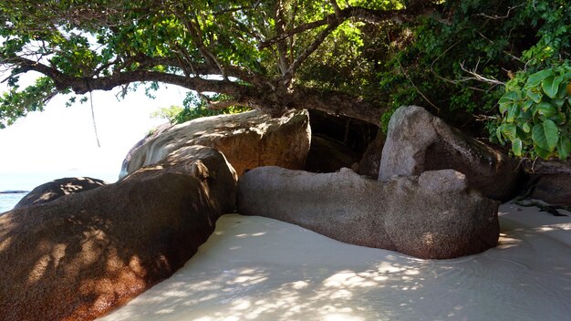 A snowwhite beach on the island of Similan