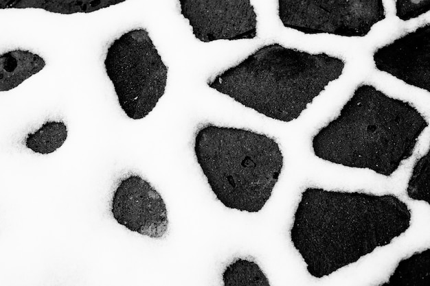 Snowy abstract black and white background.