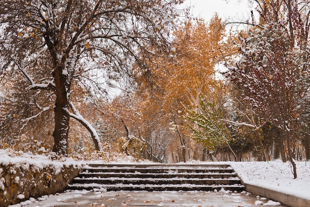 Snowy autumn Park in Tashkent