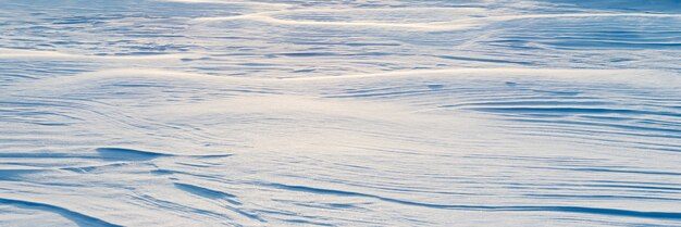 Snowy background, snow-covered wavy surface of the earth after a blizzard in the morning in the sunlight