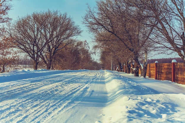 Snowy country road in winter sunny day