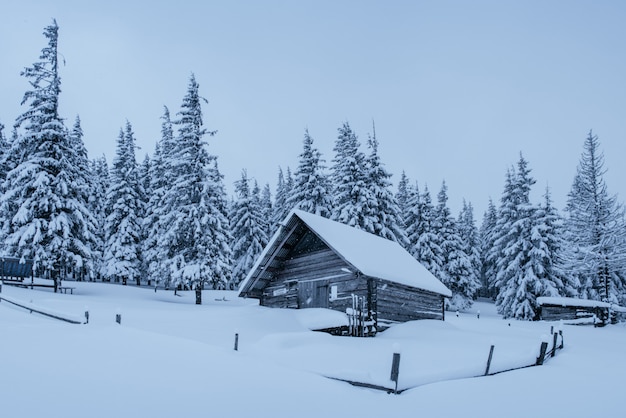 Snowy forest in the Carpathians. A small cozy wooden house covered with snow. The concept of peace and winter recreation in the mountains. Happy New Year