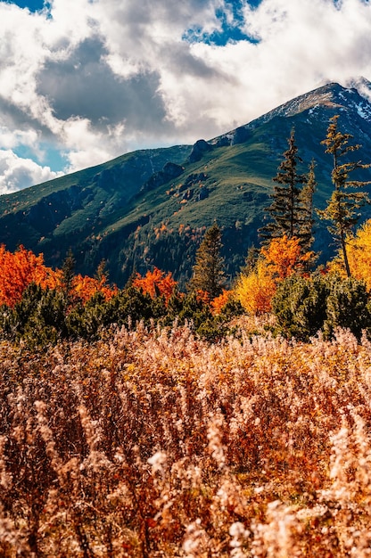 Snowy High Tatras with colorful autumn trees Hiking from zelene lake to cottage plesnivec near Belianske Tatry mountain Slovakia