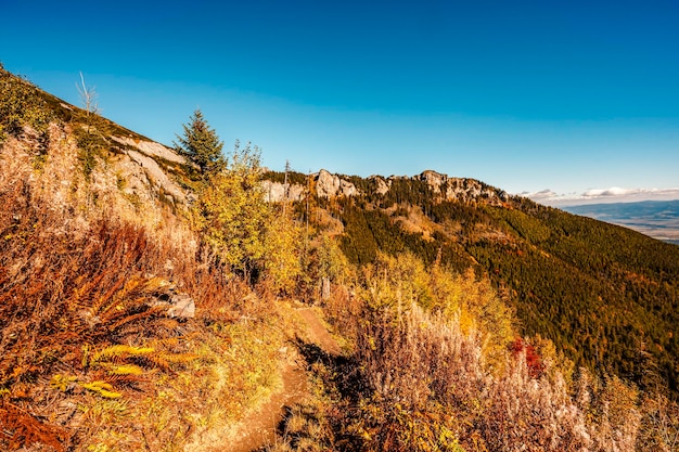 Snowy High Tatras with colorful autumn trees Hiking from zelene lake to cottage plesnivec near Belianske Tatry mountain Slovakia