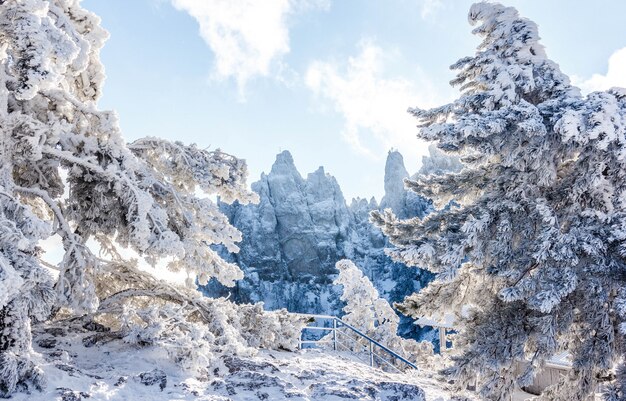 Snowy landscape. Winter landscape on a mountain top. Trees in the snow. mountain peak, blue sky, nature, winter sun. Mountain Ai-Petri. Crimea