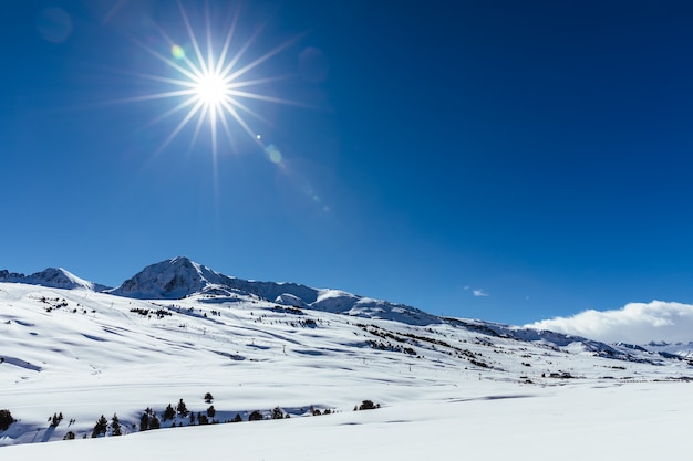 Snowy landscape