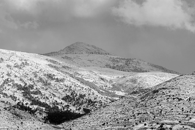 Snowy landscapes from the interior of granada  spain