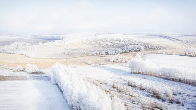 Snowy meadow with forest strips and empty agrarian fields. Winter landscape.