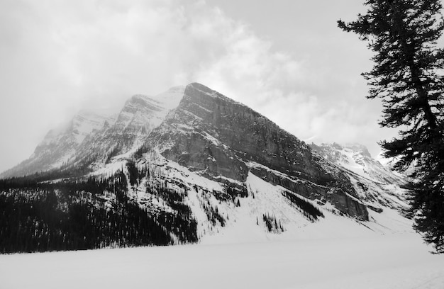 Photo a snowy mountain landscape and some trees